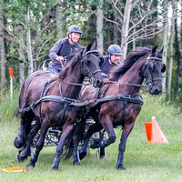 Sept 14 2024 Stone Bridge Fun Driving Event