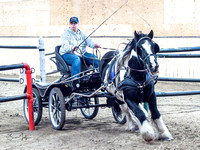 Nov 2 2024  DERBY # 1 Annie & Kees Muilwijk Blackfalds, AB.